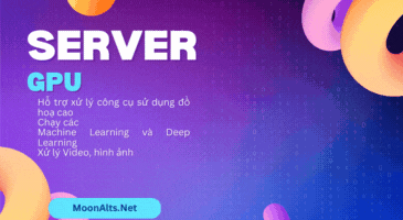Máy Chủ GPU